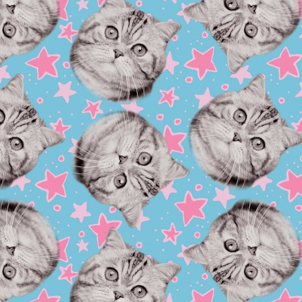 Super Star Kitties Blue Fabric to sew - QuiltGirls®