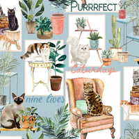 Everyday is Caturday Blue Patch Fabric to sew - QuiltGirls®