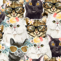 Everyday is Caturday Packed Fabric to sew - QuiltGirls®