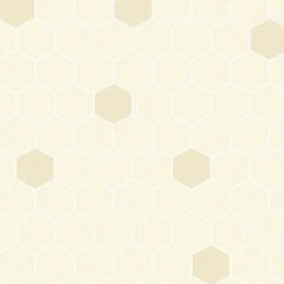 WHT Quilting Bee White Fabric to sew - QuiltGirls®