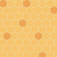 ORNG Quilting Bee Orange Fabric to sew - QuiltGirls®