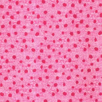 PNK Summer Splendor Pink Fabric to sew - QuiltGirls®